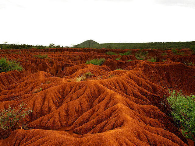 Increases Soil Erosion